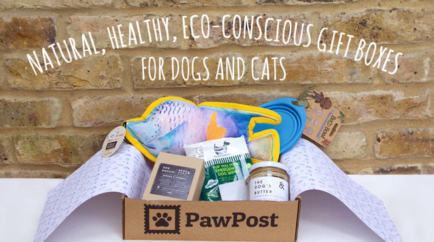 The Best Dog Subscription Boxes To Buy In 2022 What's The Best Home